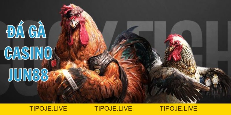 Đá gà Casino Jun88 - Thiên đường chọi gà siêu hấp dẫn